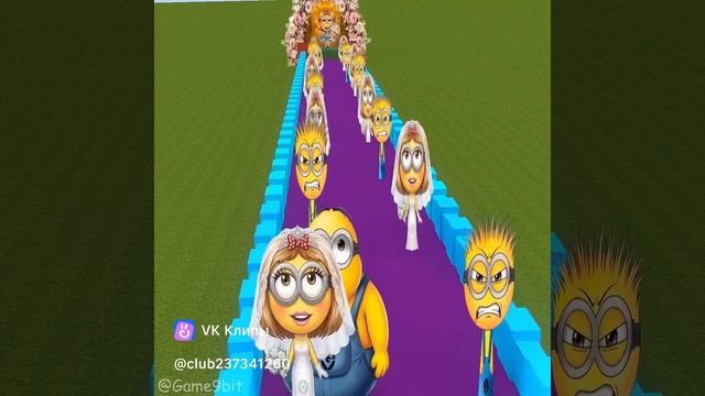 Толстый миньон выбирает себе жену