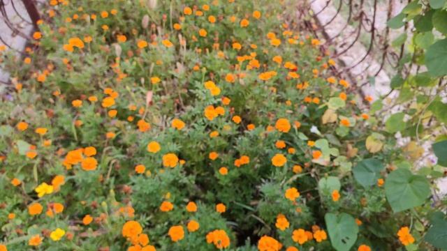 Один из дней города Евпатории | 23 сентября 2021 г | Крым ХАН БАТОН XAH 6ATOH | VID_20210923_145858