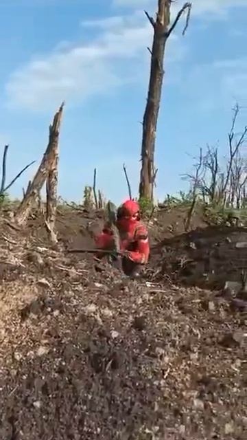 юмор наше всё 😂