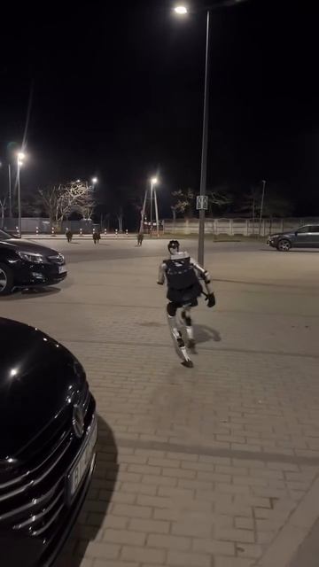 Кабанчиком