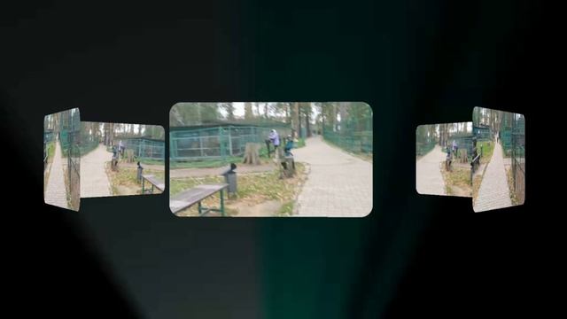 🐫Прогулка🐻в🦁Костромском 🦬Зоопарке🦌.#кострома #костромскойзоопарк #зоопарк #костромскаяобласть