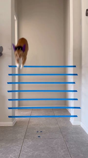 Шапка ваще норм