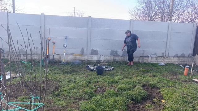 Bf262193a5fc9872ea3f625d8484ee2d