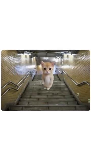 Что если мы живем в матрице