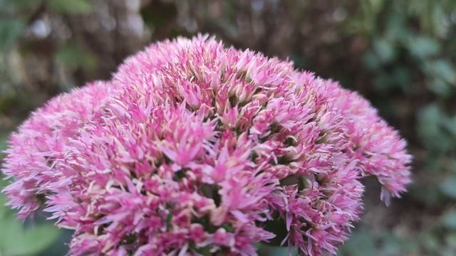 Один из дней города Евпатории | 22 сентября 2021 г | Крым ХАН БАТОН XAH 6ATOH | VID_20210922_145806