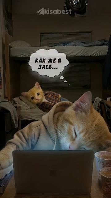 Что делать если тебя не ценят