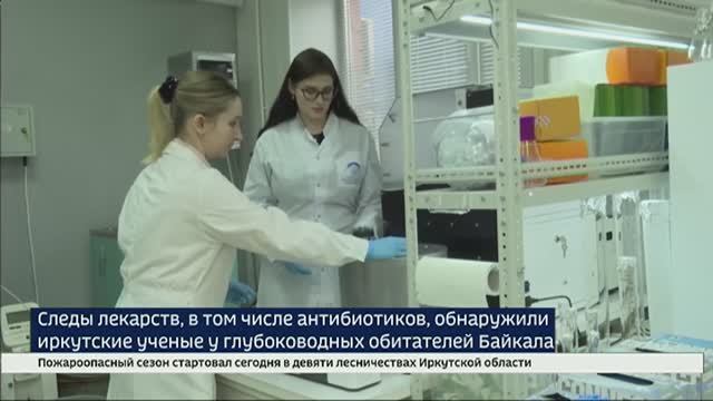 Фармзагрязнение Байкала. Ученые ИГУ обнаружили следы ибупрофена у глубоководных обитателей