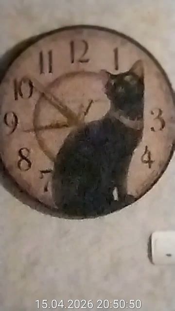 Улица Кубинка. Звук удара от соседей два года 15.04.2026