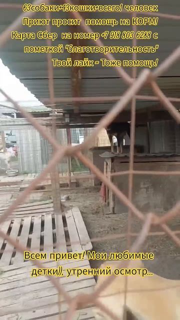 НАС107=106хвостиков  +1человек!