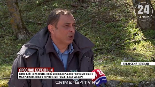 Рейд по соблюдению правил перевозки сельхозпродукции провели в Крыму