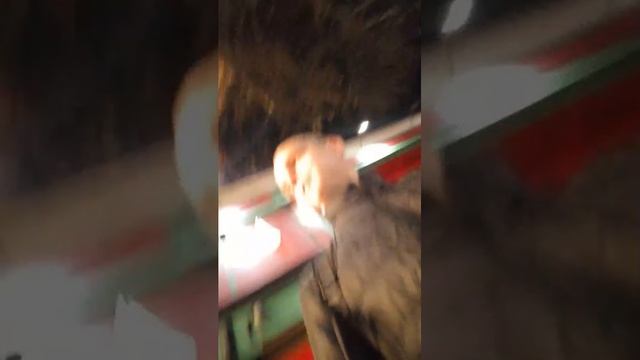 Посмотрите.