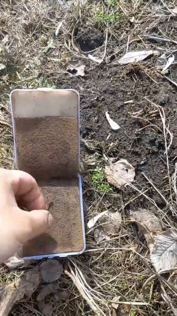 А вы уже открыли сезон? #находки #коп #копмонет #монеты #металлоискатель