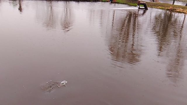 Фореливая рыбалка РК