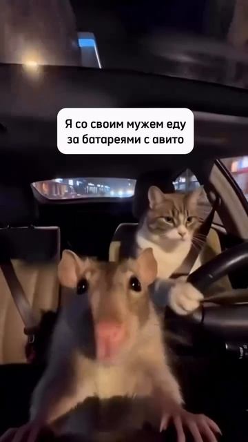 И в снег и в зной