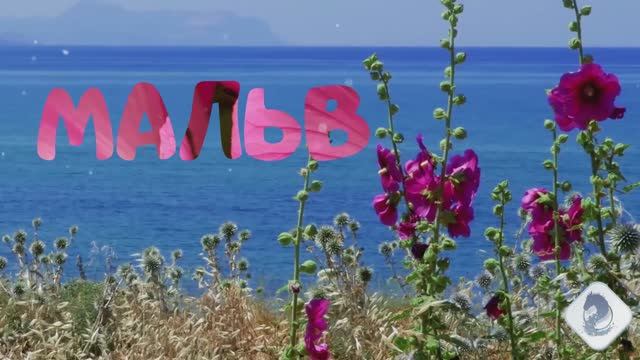 89c63d0e72acfdb1ec5bdb6bd15b67d8