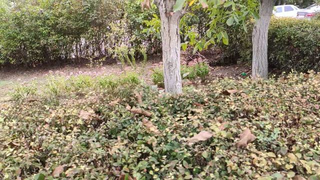 Один из дней города Евпатории | 23 сентября 2021 г | Крым ХАН БАТОН XAH 6ATOH | VID_20210923_144447