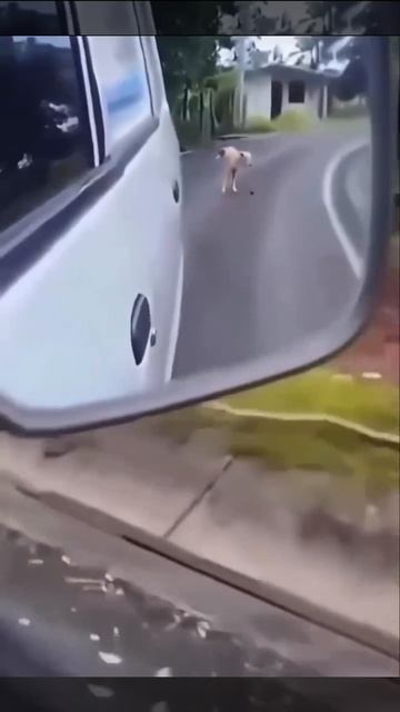 не в этот раз братан