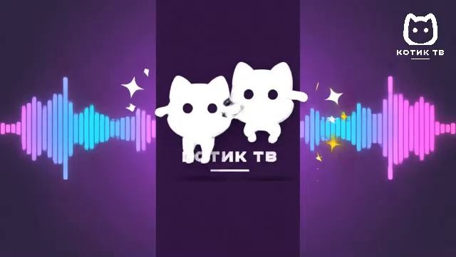 Котик ТВ
