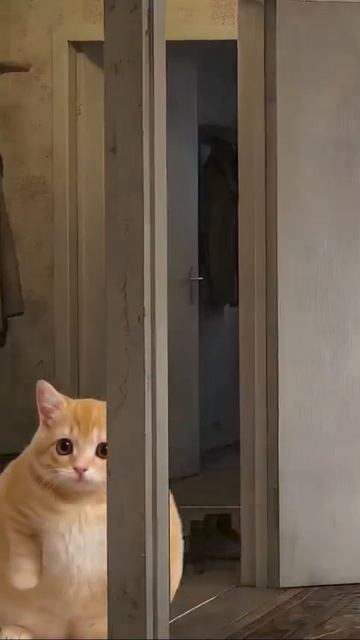 Что если видеть глазами бабушки