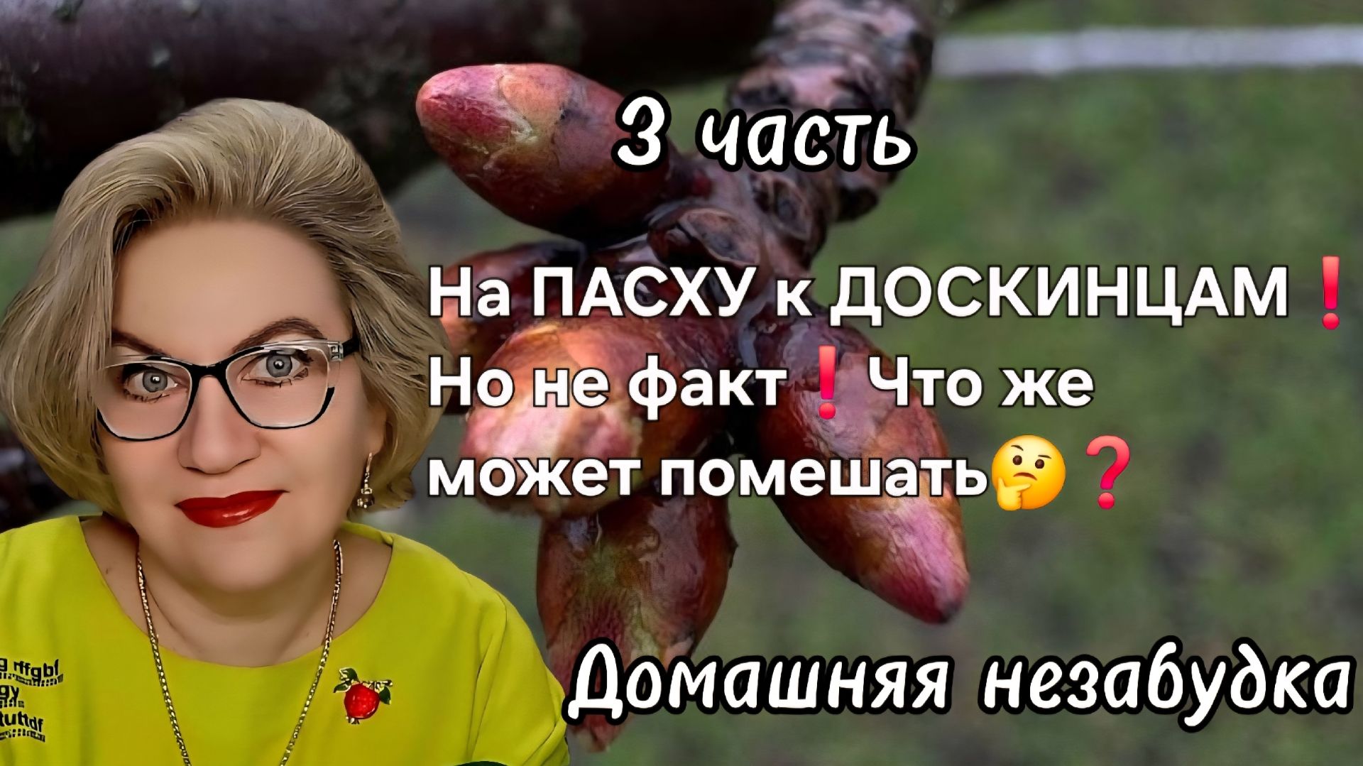 3 часть. На ПАСХУ к ДОСКИНЦАМ❗️Но не факт🤔❗️Что же может помешать❓️