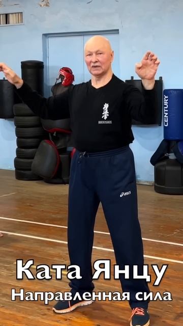 Кёкусинкай / Янцу / Направленная сила / Сихан Фомин В.П. (14.03.26) #44
