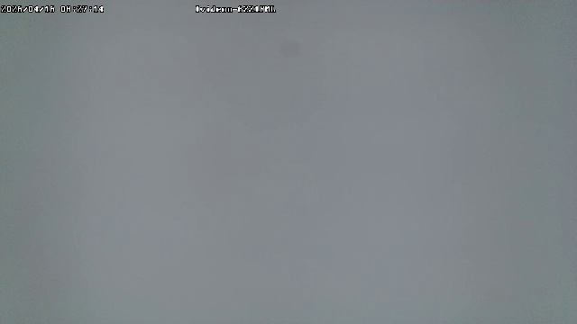 LIVE: Channel43489494