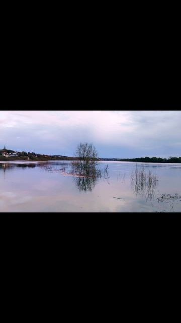 Вечерняя прогулка вдоль реки ( 16 апреля)