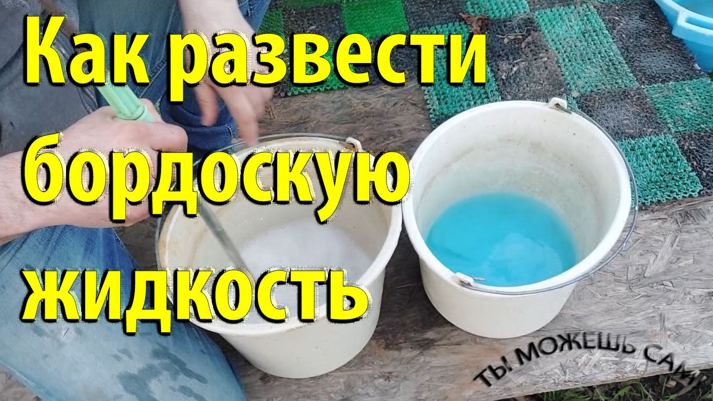 Как развести бордоскую жидкость и опрыскать весной сад