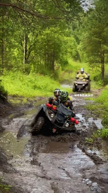 Квадроциклы на Алтае #алтай #экспедиция #путешествия #квадроцикл #мужскойтур #длямужчин