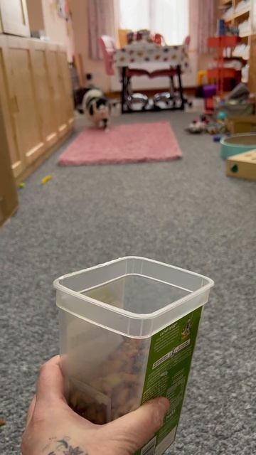 Он никуда не спешит