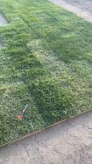 Укладка рулонного газона под ключ | GAZON GROUP | Москва