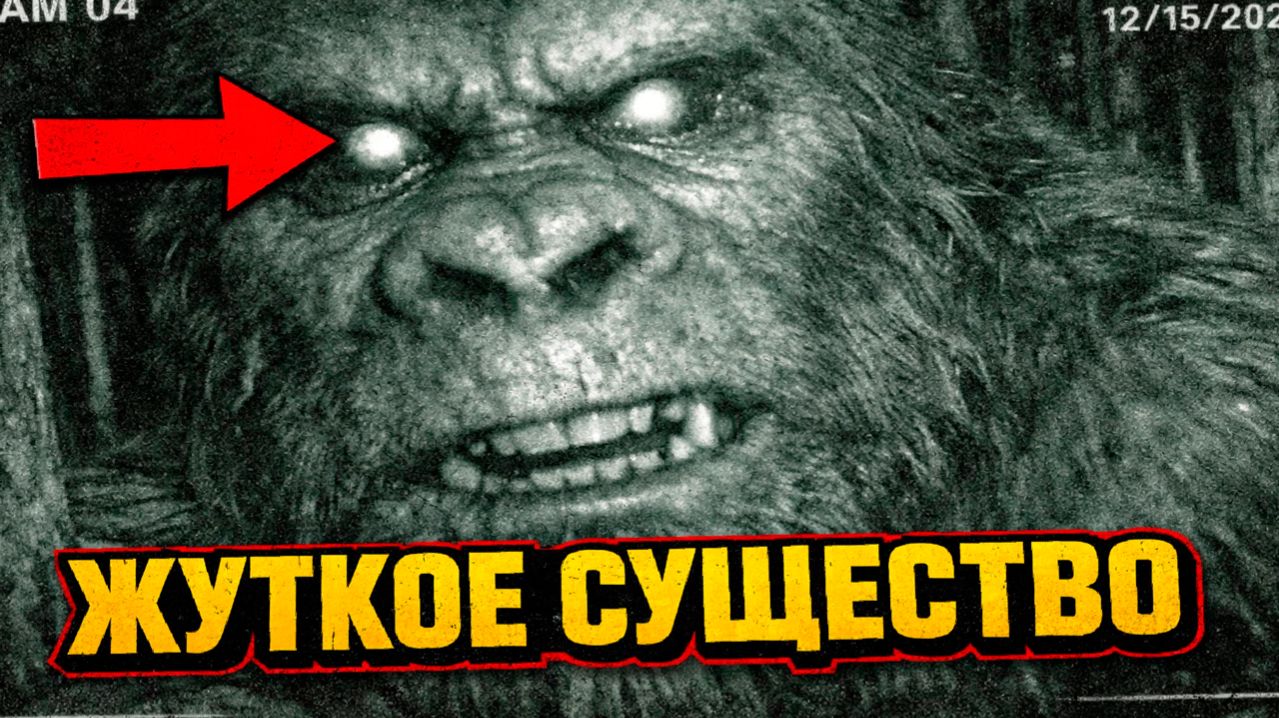 В Орегоне сняли жуткого Снежного Человека максимально близко к охотничьей камере в ночном лесу