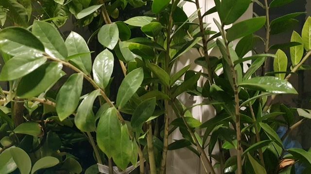 Вернуть бы...