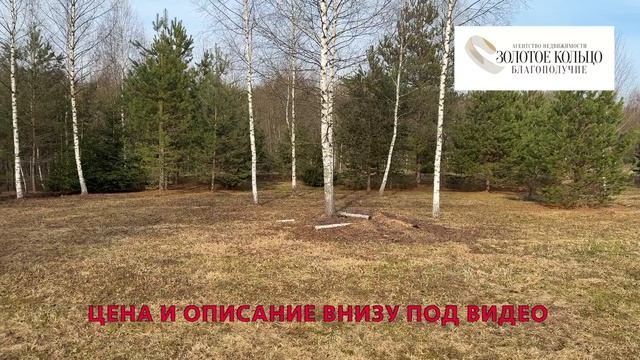 Продается Ранчо - Жилой дом на земельном участке 32,8 соток в дер. Володино