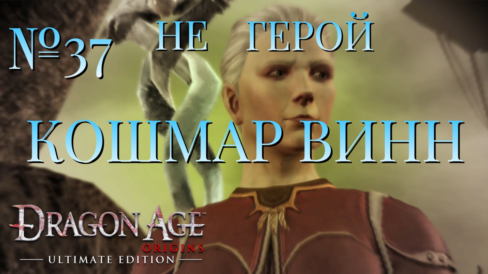 НЕ ГЕРОЙ/ЧАСТЬ №37/КОШМАР ВИНН/DRAGON AGE ORIGINS