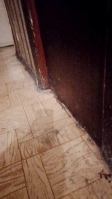 Такое не продать и не сдать. Помогите просто уехать! Сб 5336690144598952