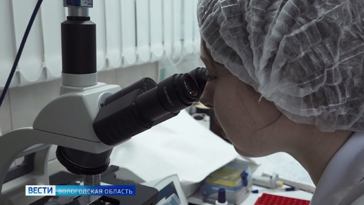 Вологжане могут принять участие в конкурсе профмастерства «Ветеринарный фельдшер»