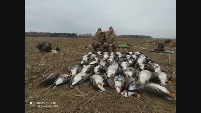 ОХОТА НА ГУСЯ ДО ПОСЛЕДНЕГО ПАТРОНА