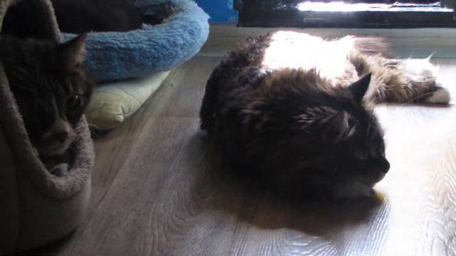 Начало дня..