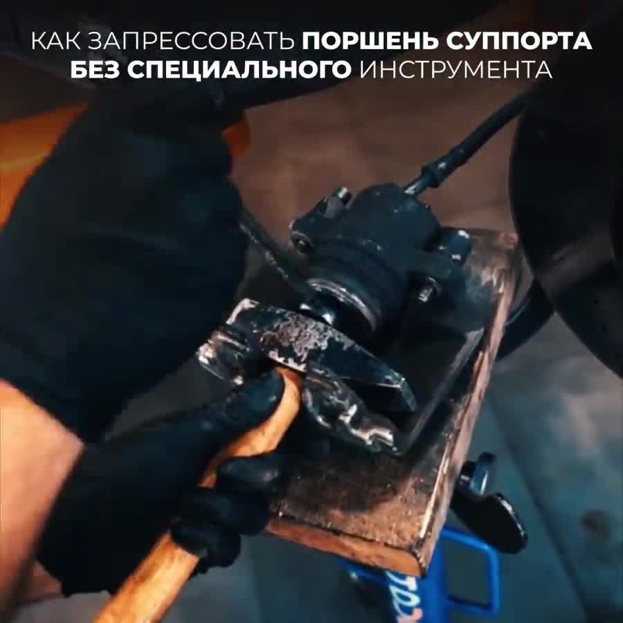 #Милые #видео #животные