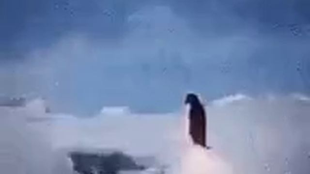 Пингвин+ракета