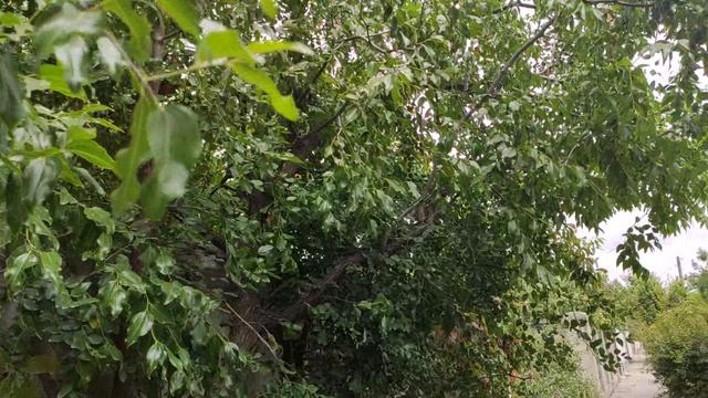 Один из дней города Евпатории | 21 сентября 2021 г | Крым ХАН БАТОН XAH 6ATOH | VID_20210921_144252