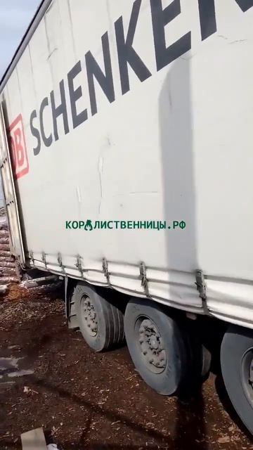 Кора Сибири  крупнейший B2B поставщик му́льчи из коры деревьев хвойных пород