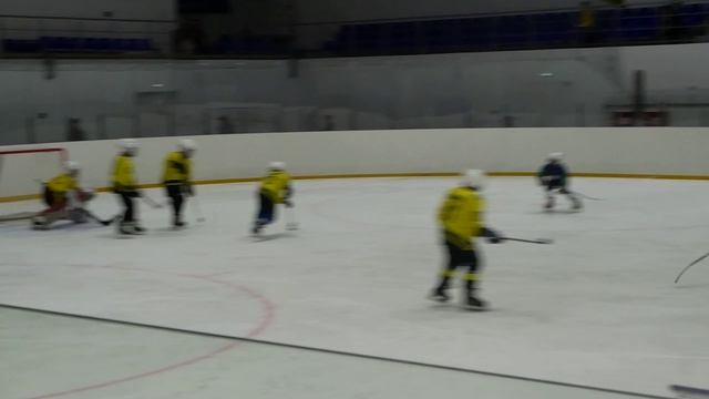 Кубок Сигмы