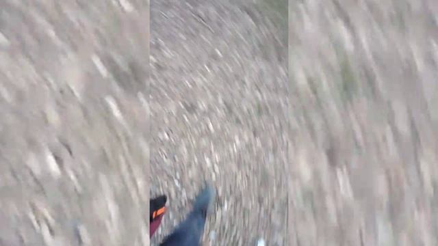 Моя шедевральная прогулка по парку.