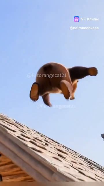 Рыжий кот против медведя в ИИ