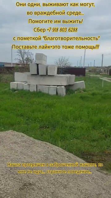 НАС107=106хвостиков  +1человек!