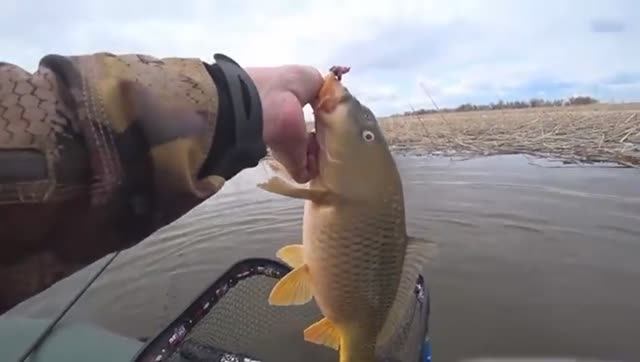 62b6ab5e4d52d012016fa0b0292c76a1