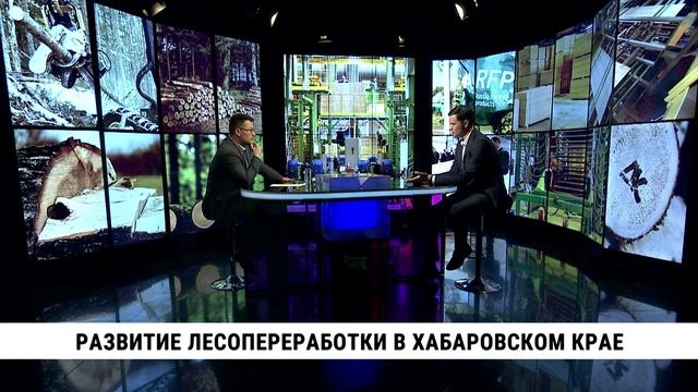Развитие лесопереработки в Хабаровском крае / Виктор Бердников