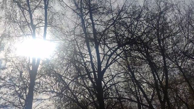 16 апреля магический солнечный 🌞 прогноз погоды от волшебника местами дождь ☔